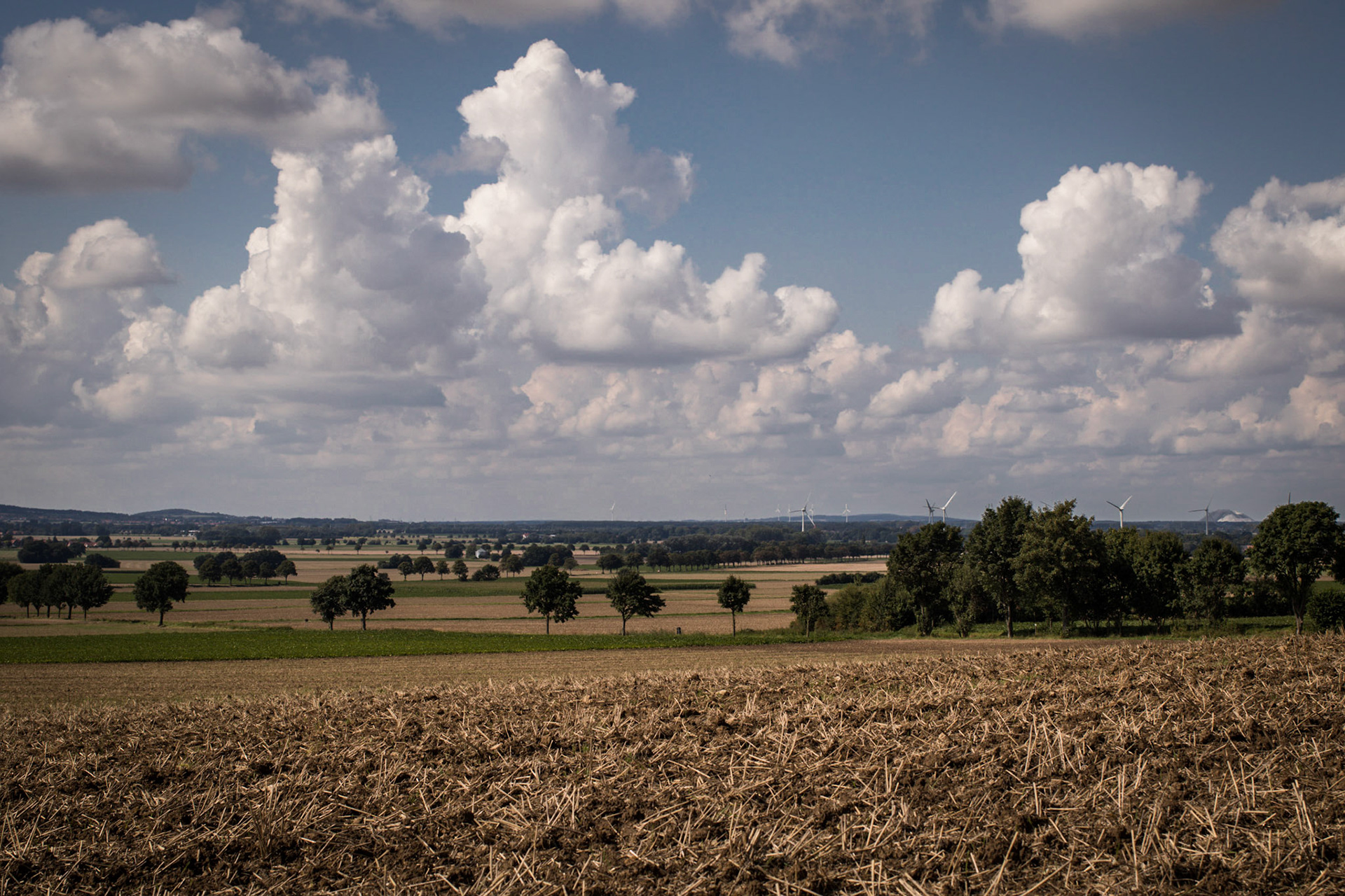 Blick vom Gehrdener Berg nach Westen