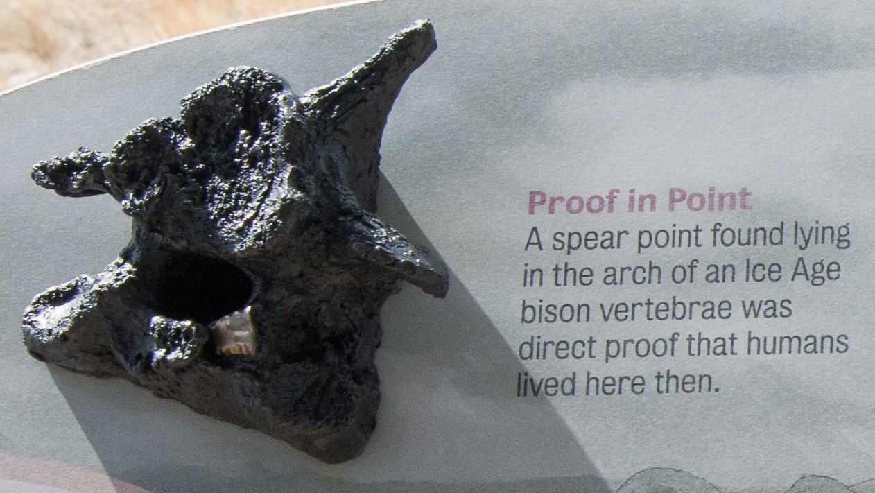 Proof of human existence 12000 years ago.