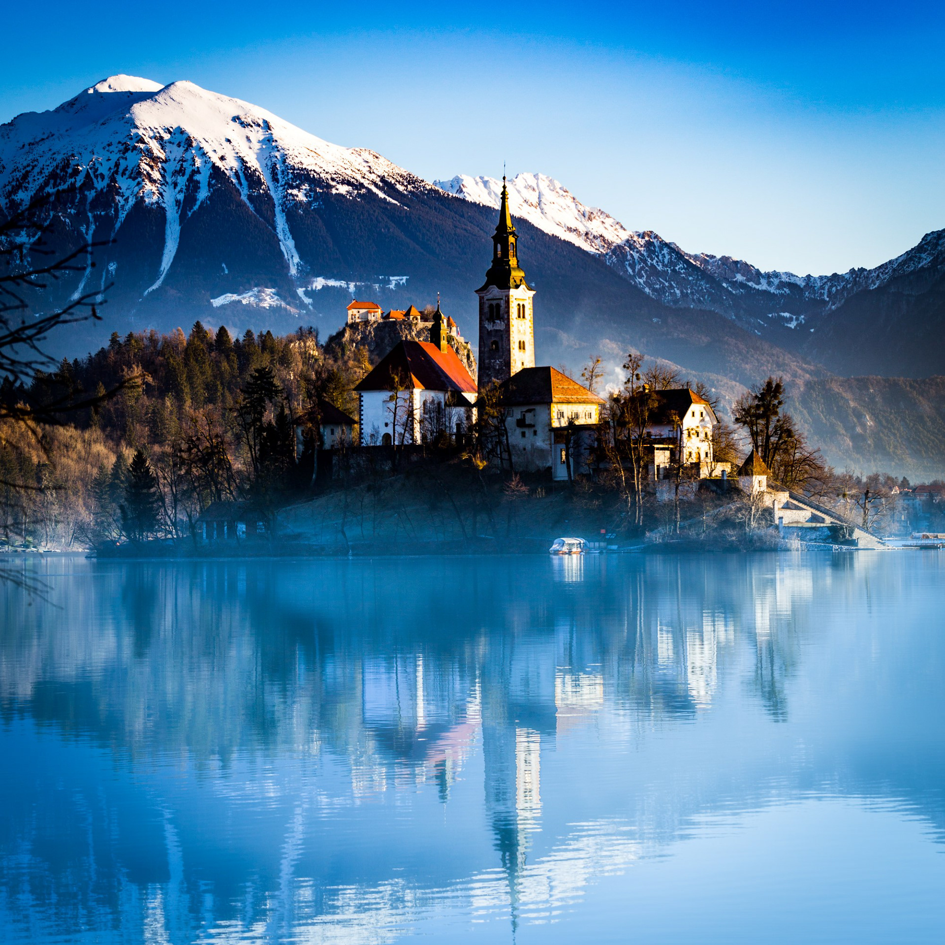 Dark Markets Slovenia Dark Markets Slovenia