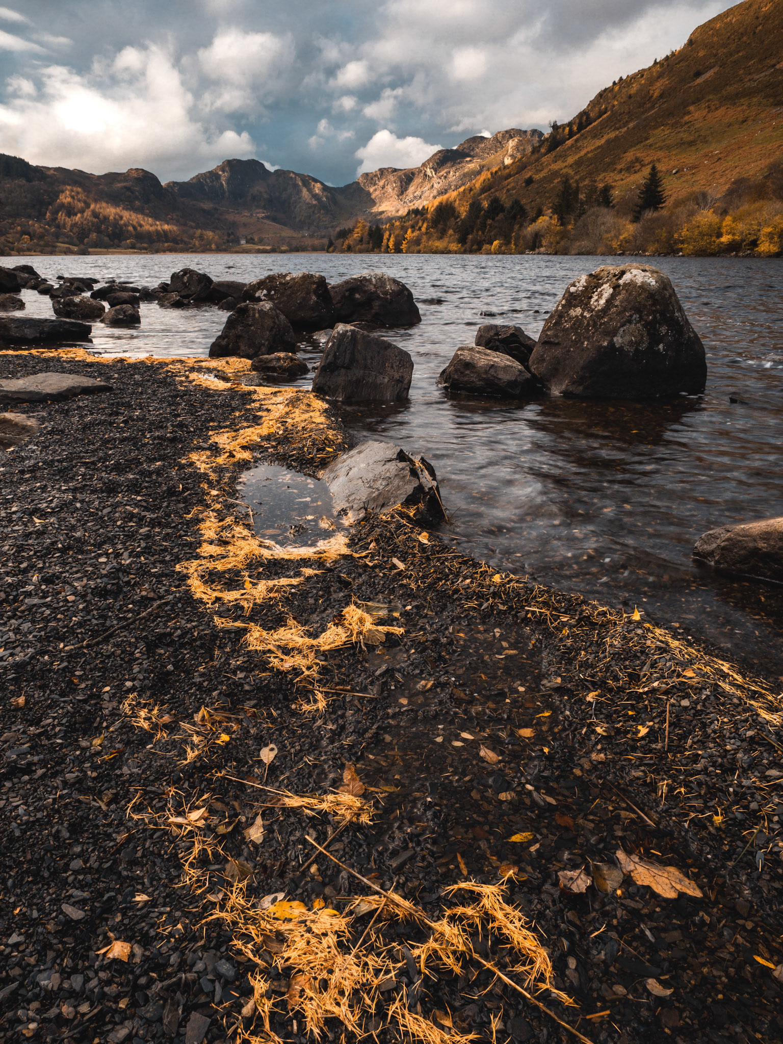 Autumn leaves on Llyn Crafnant