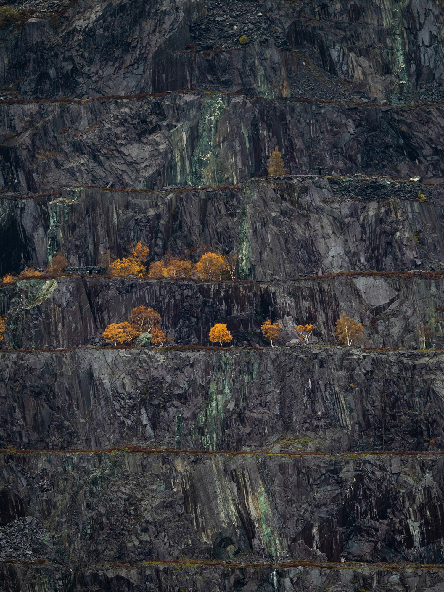 Autumn on Dinorwic quarry