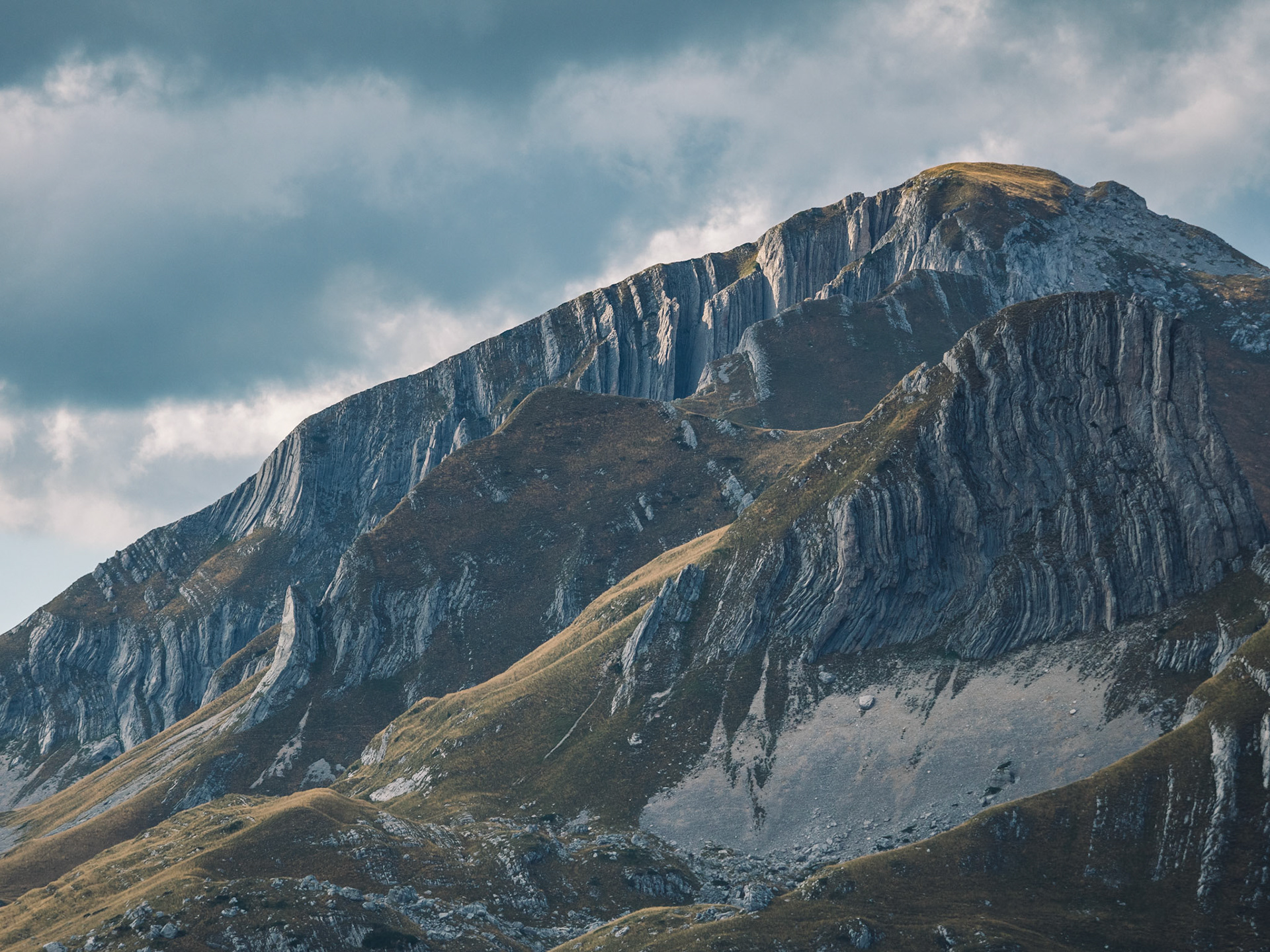 Prutaš in Montenegro