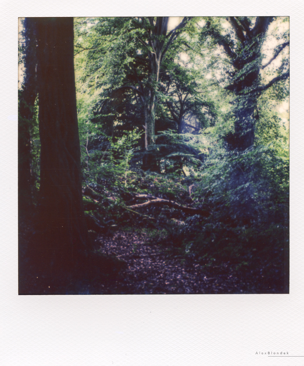Tintern - SX-70