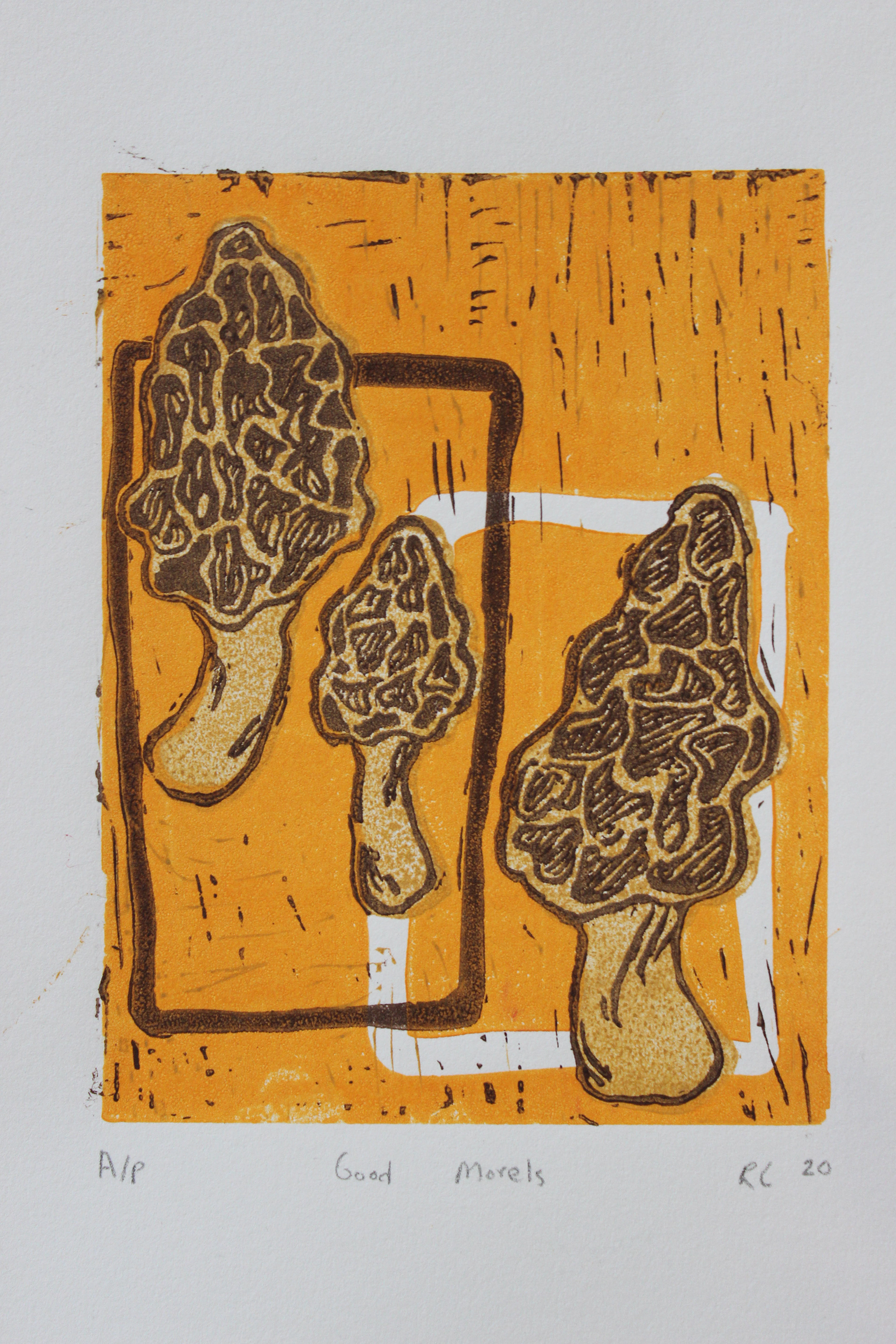 Ruby Chvastek - Certificate IV in Visual Arts