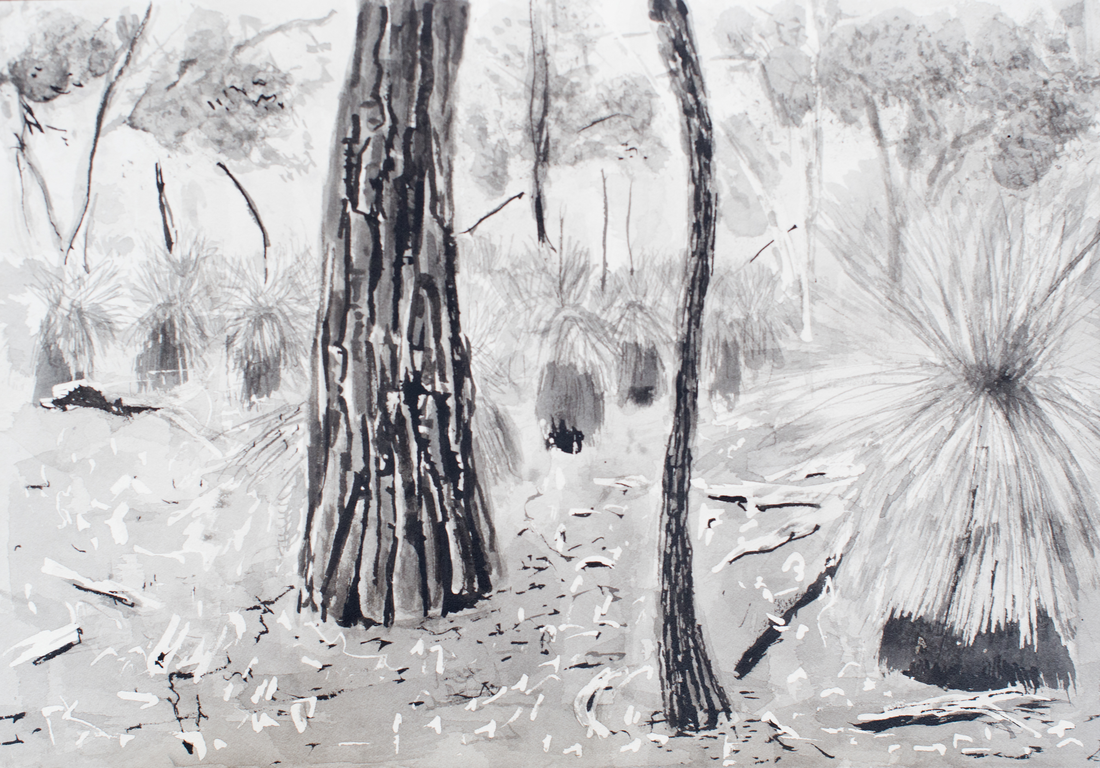 Jane Mullett - Diploma of Visual Arts