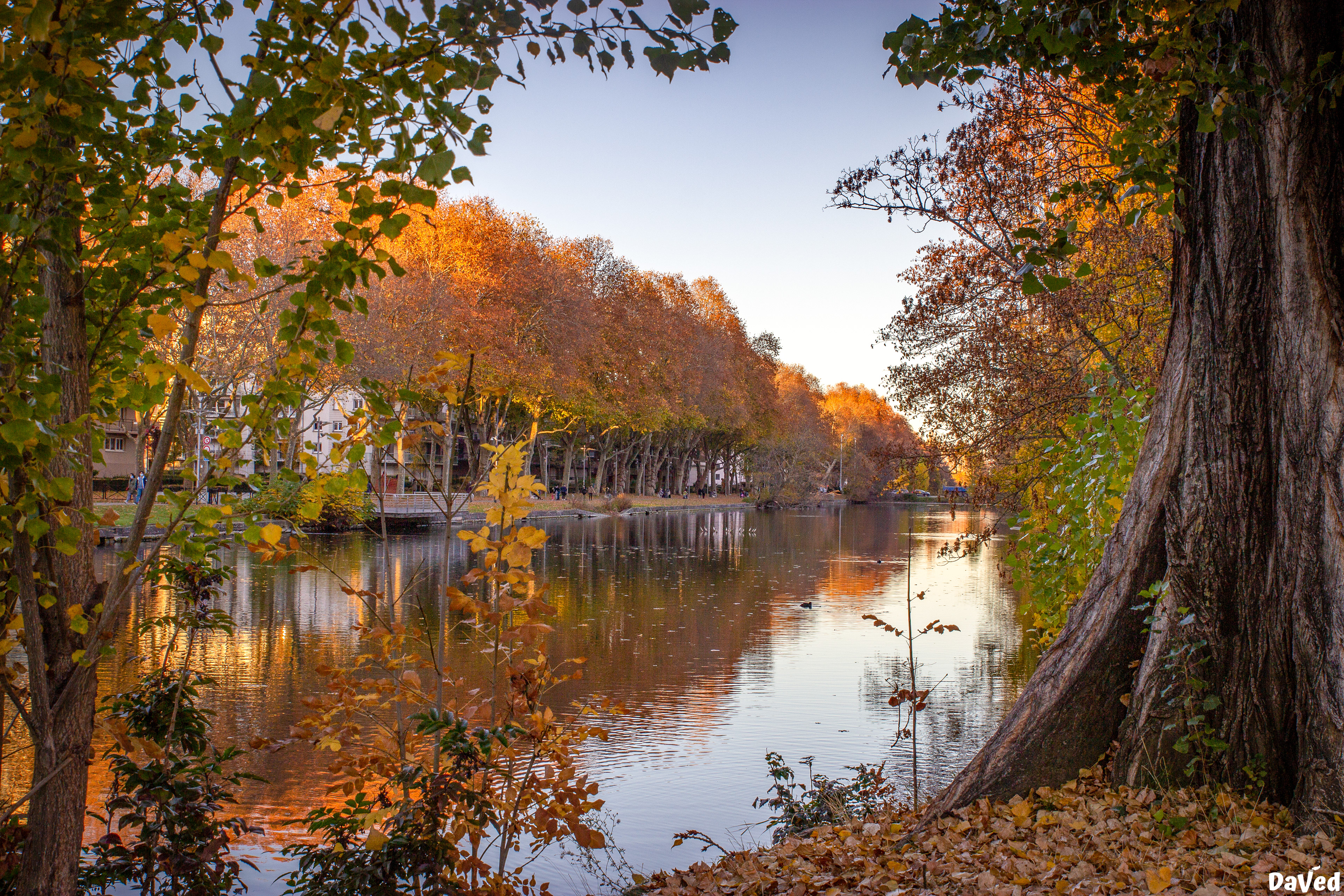 Nouveau bassin