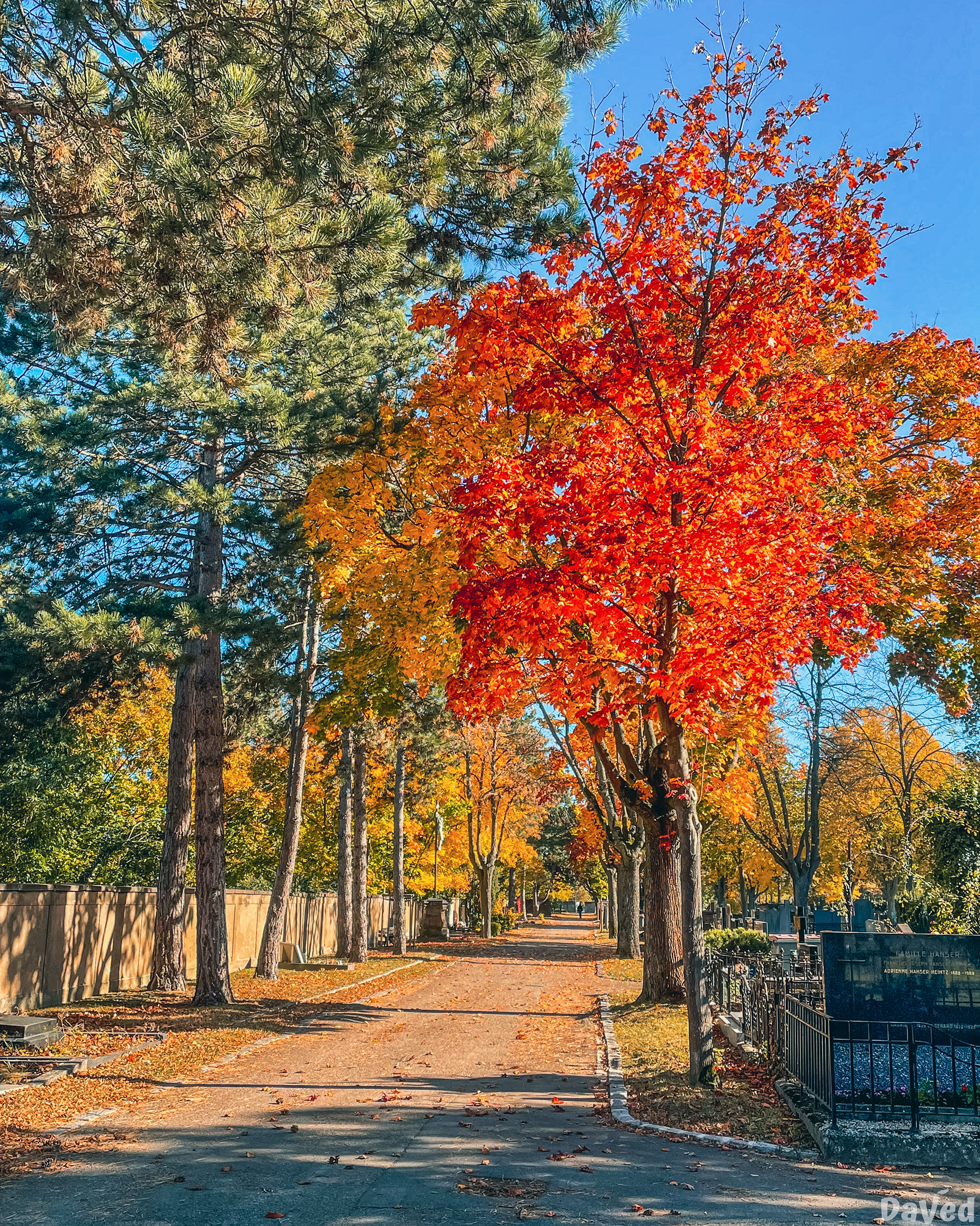 Cimetière central