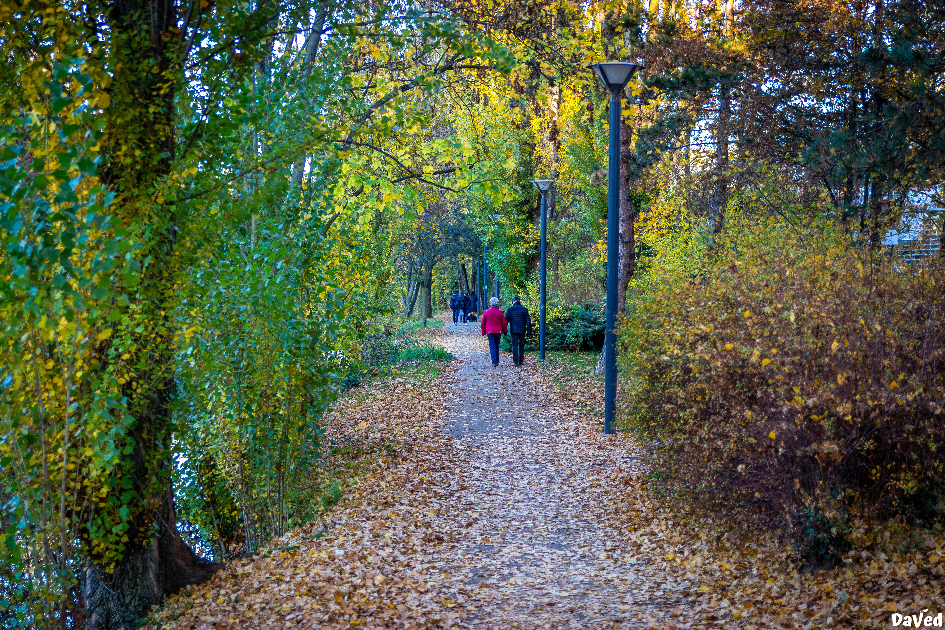 Nouveau bassin