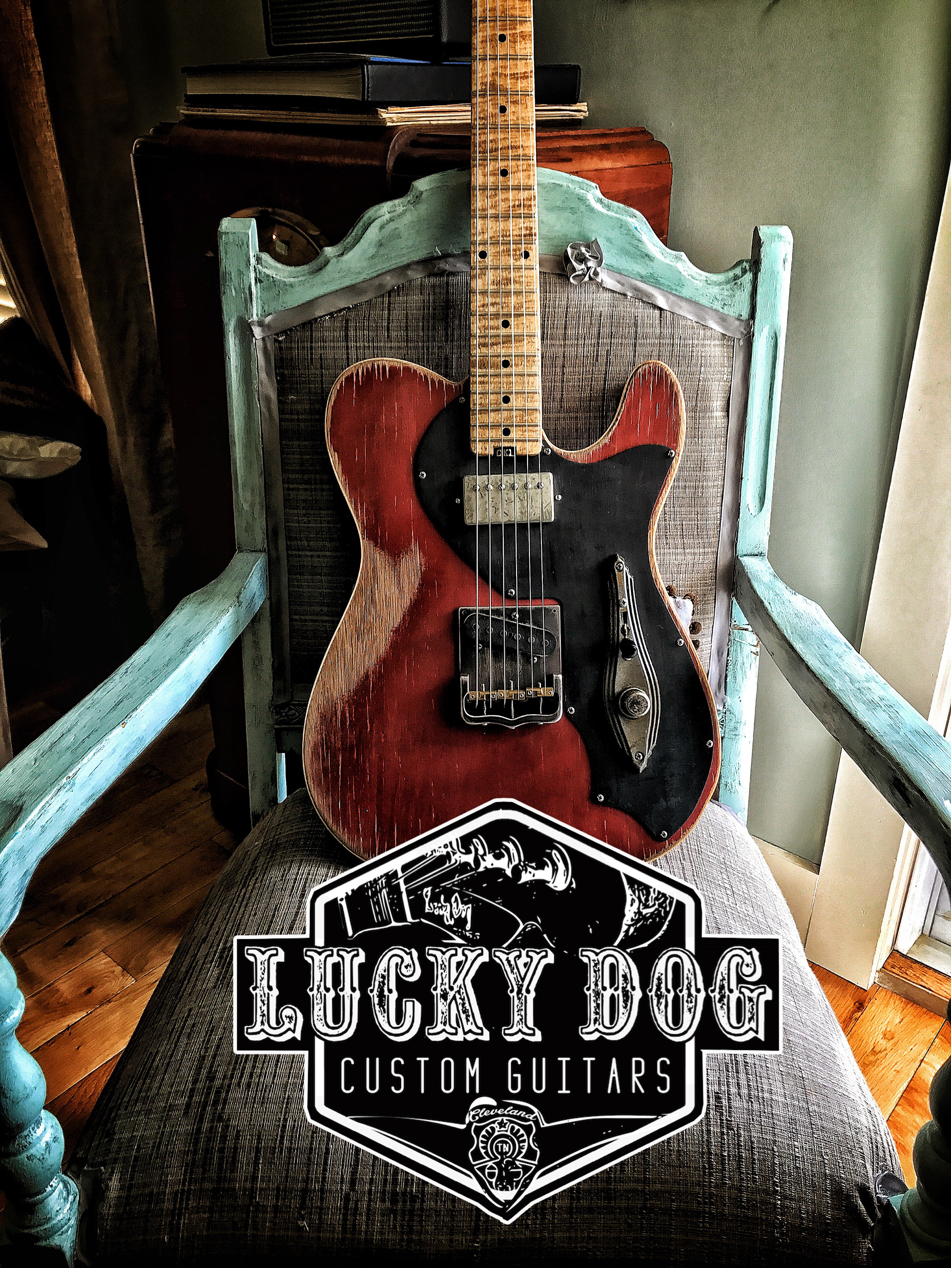 Lucky dog guitars store for sale