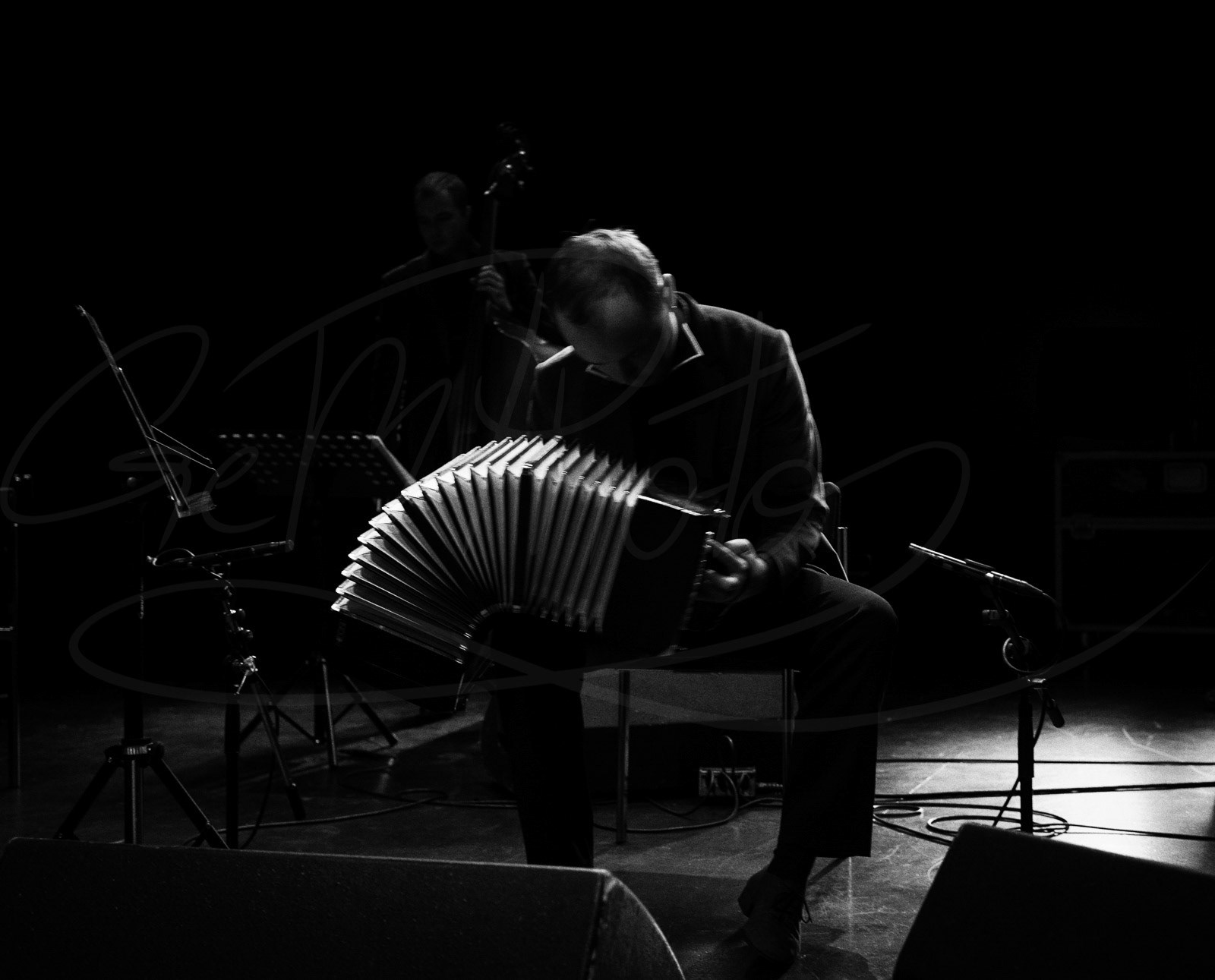 Bandoneon player