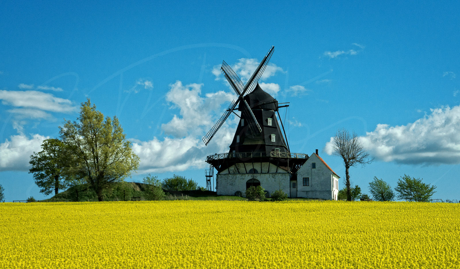 Windmill on the road