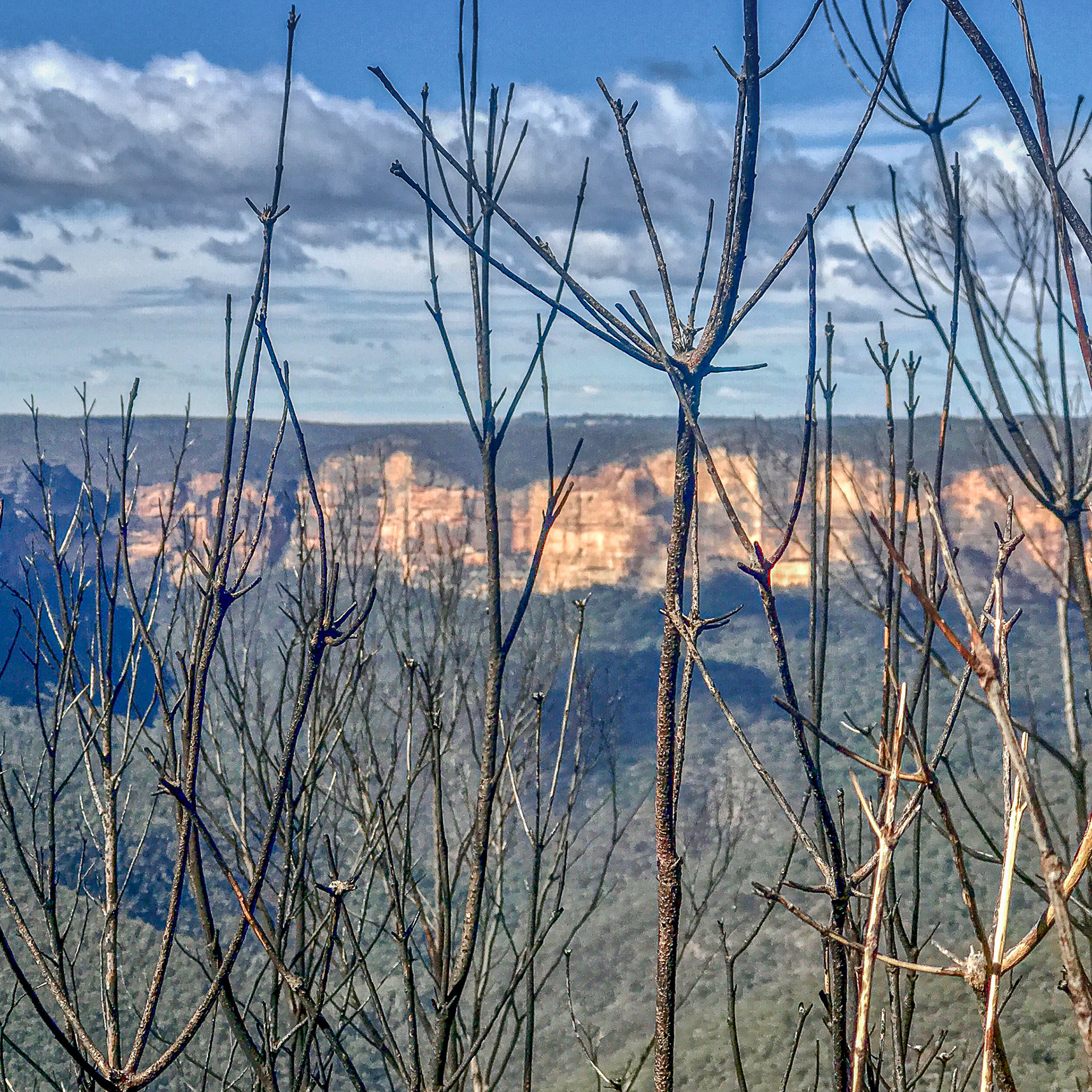 Grose Valley, from Allview