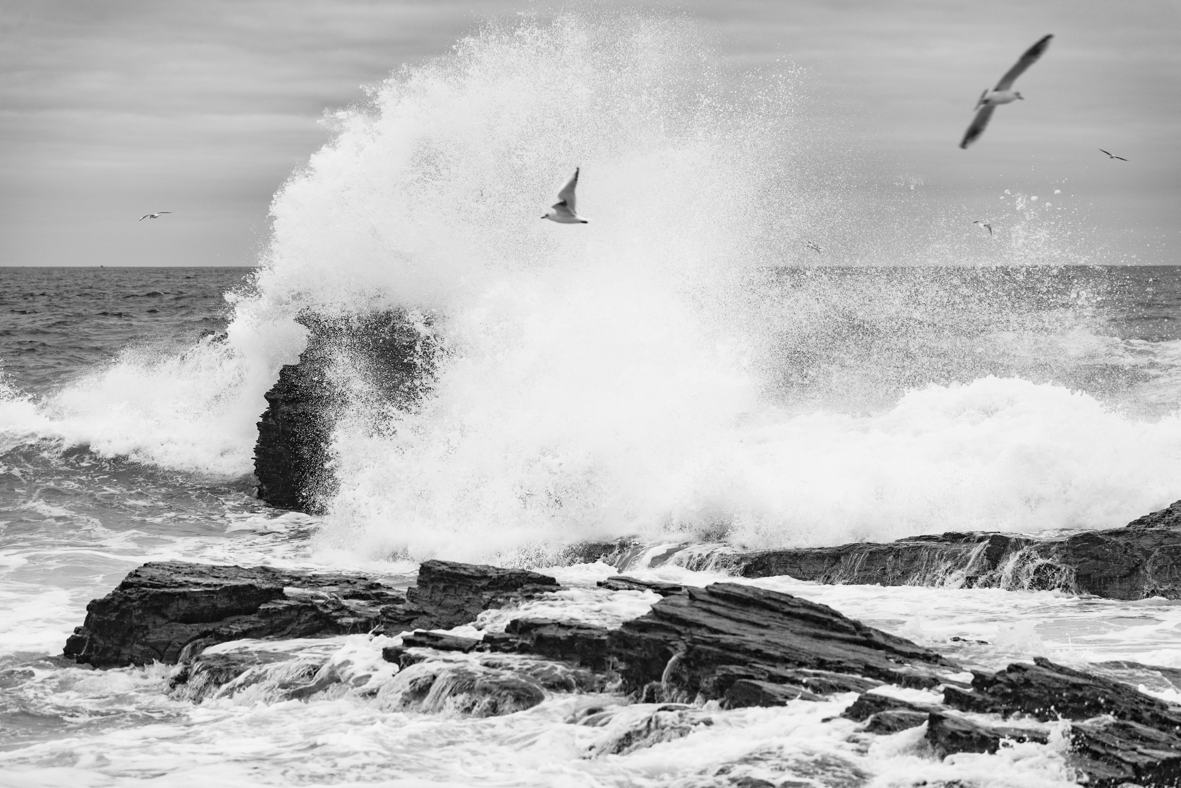 Cornwall Landscape Marinus Veit 2018