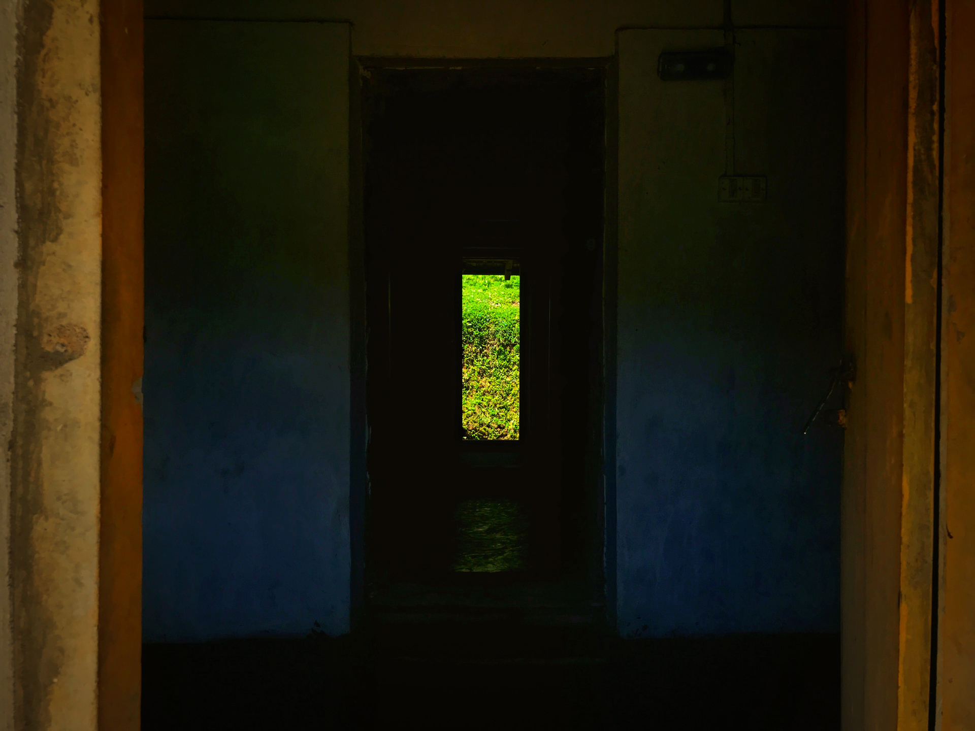 Door to Door. Bhagamandala, 2019