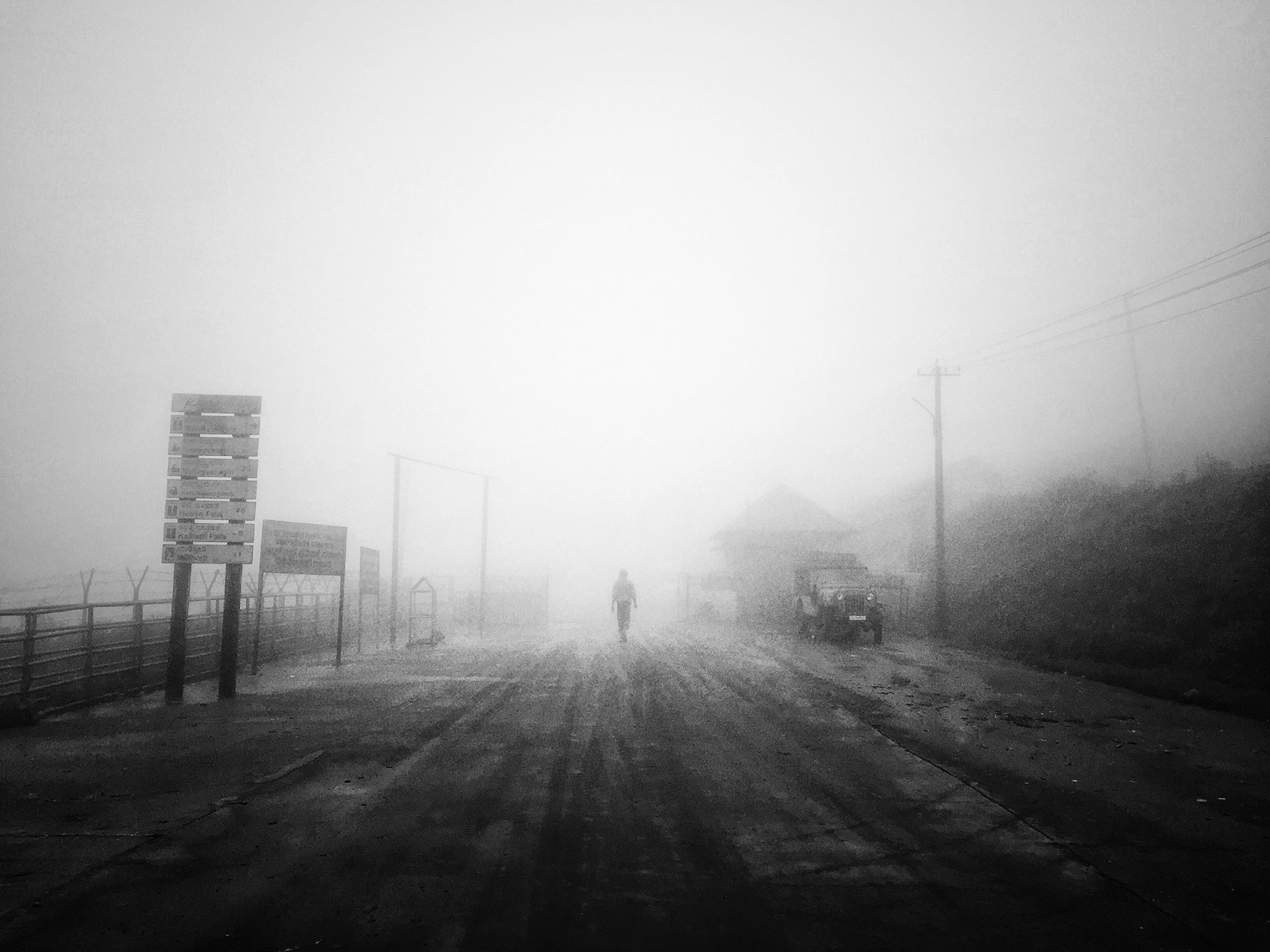 Morning. Chikmagalur, 2015