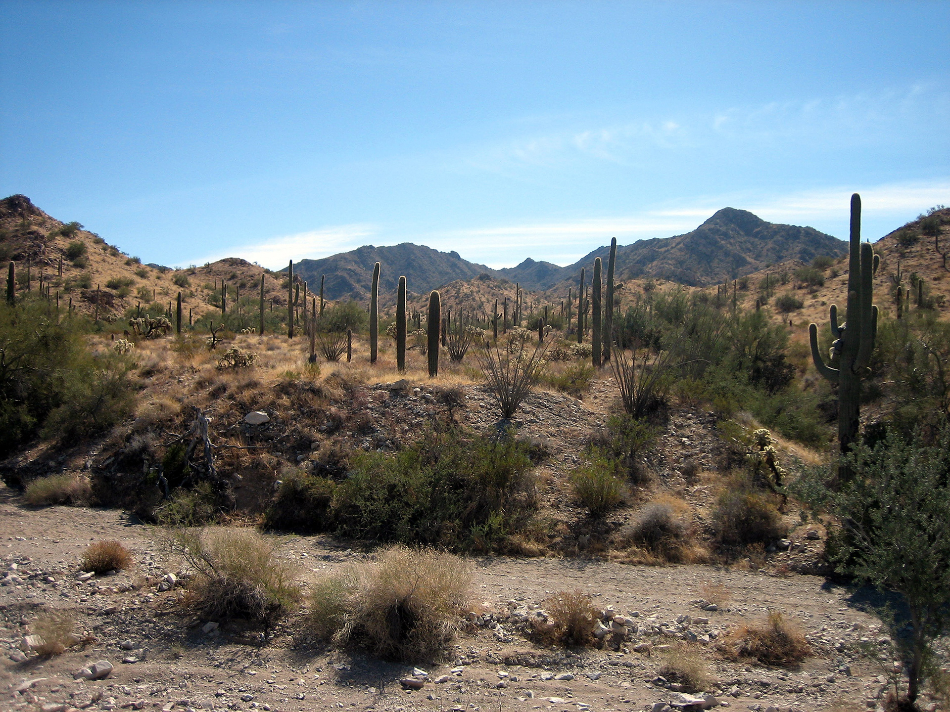 Estudio Busqueda Tohono O'odham Nation