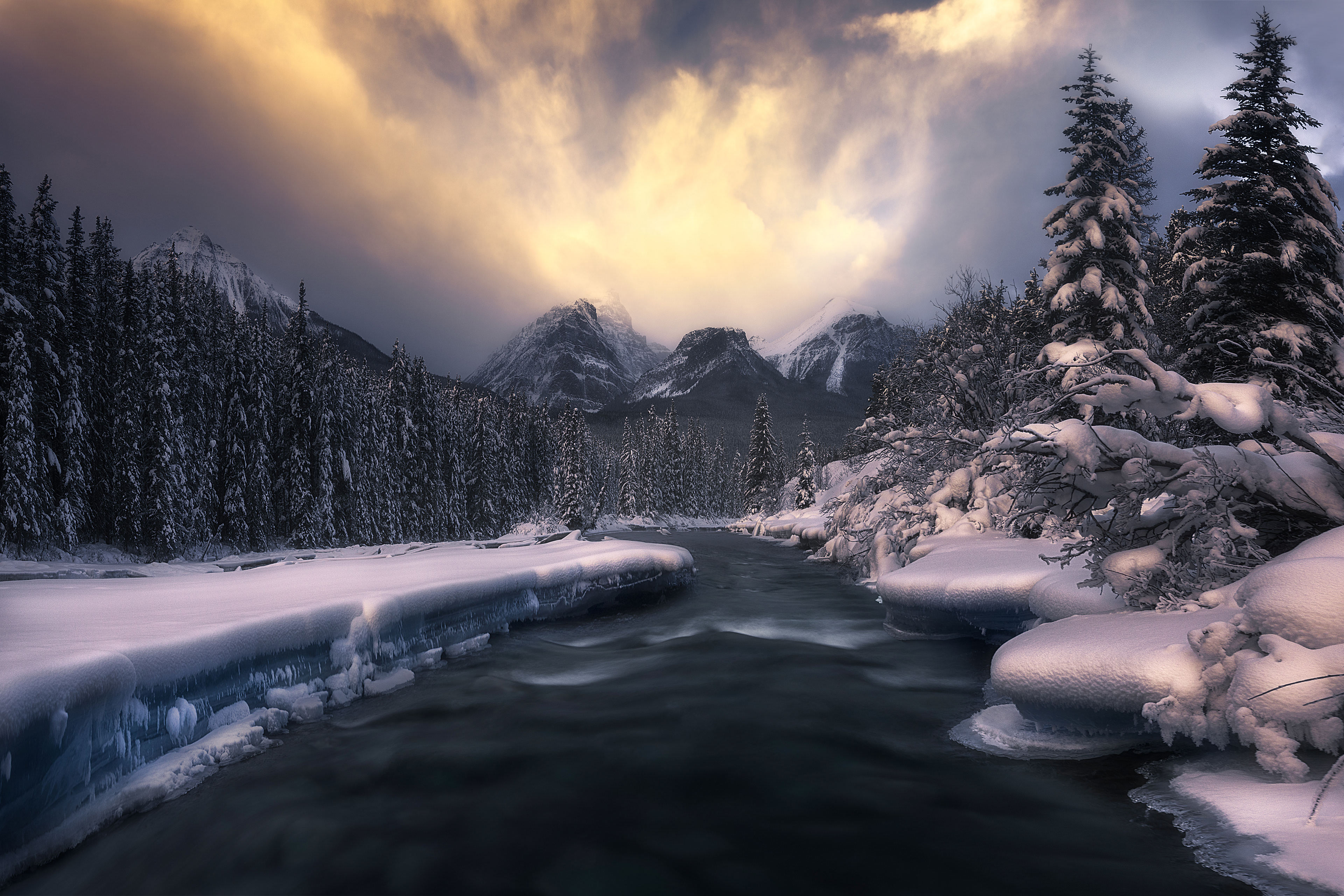 Bow's Kingdom