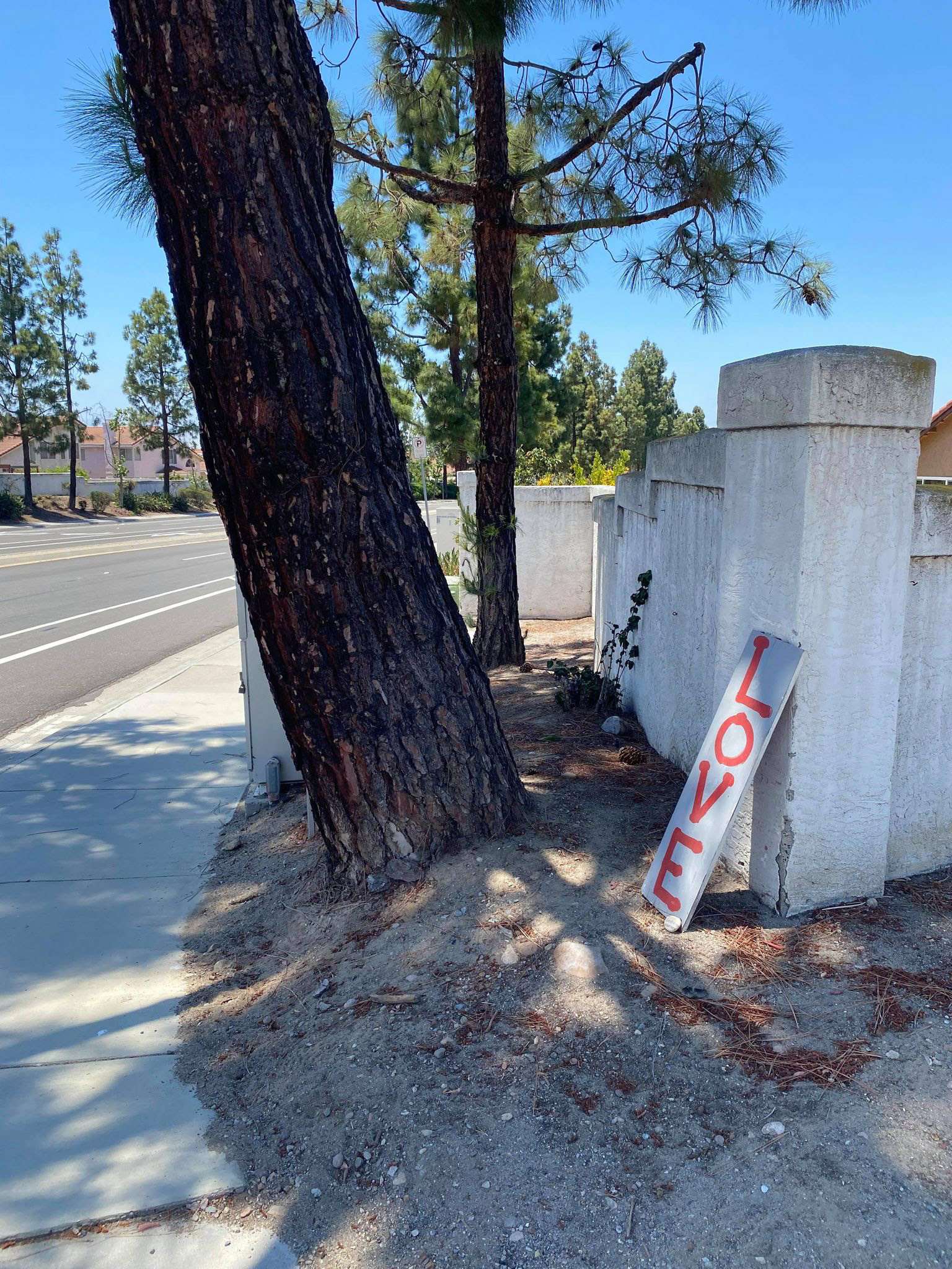One of many signs with positive messages found in Mira Mesa