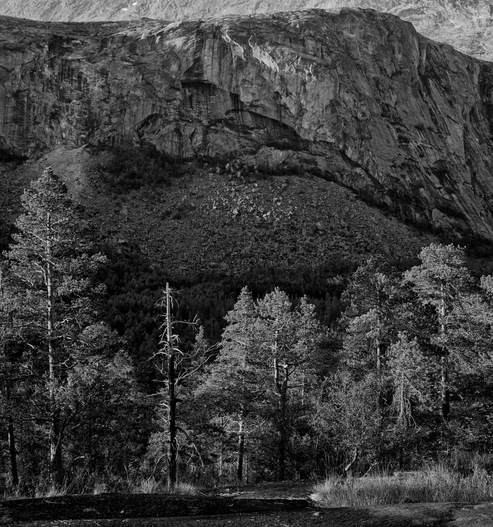 Solglimt i steinur, Storskogdalen, Sørfold 1988