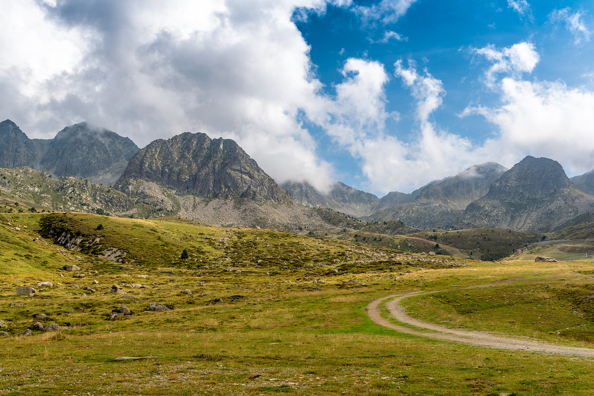 The “Peaks” of Summer (1) | © All rights reserved