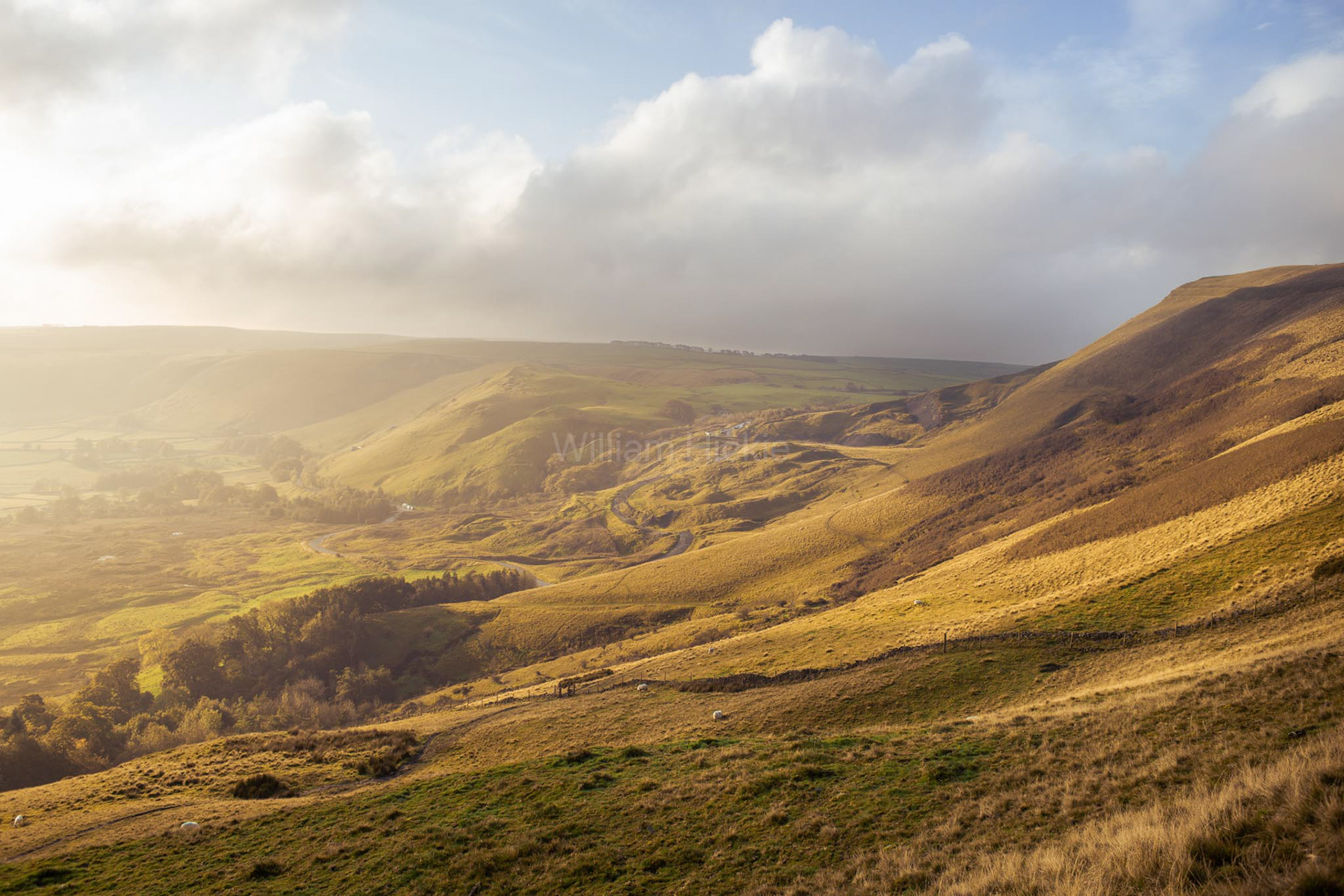 "Castleton Sun"