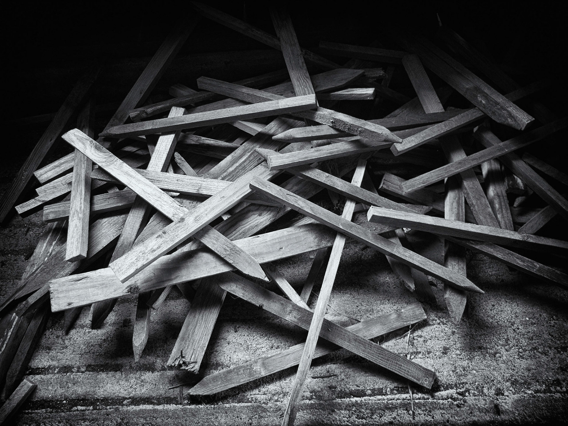 Pick Up Sticks - Waldo Giacomini Ranch - 2012
