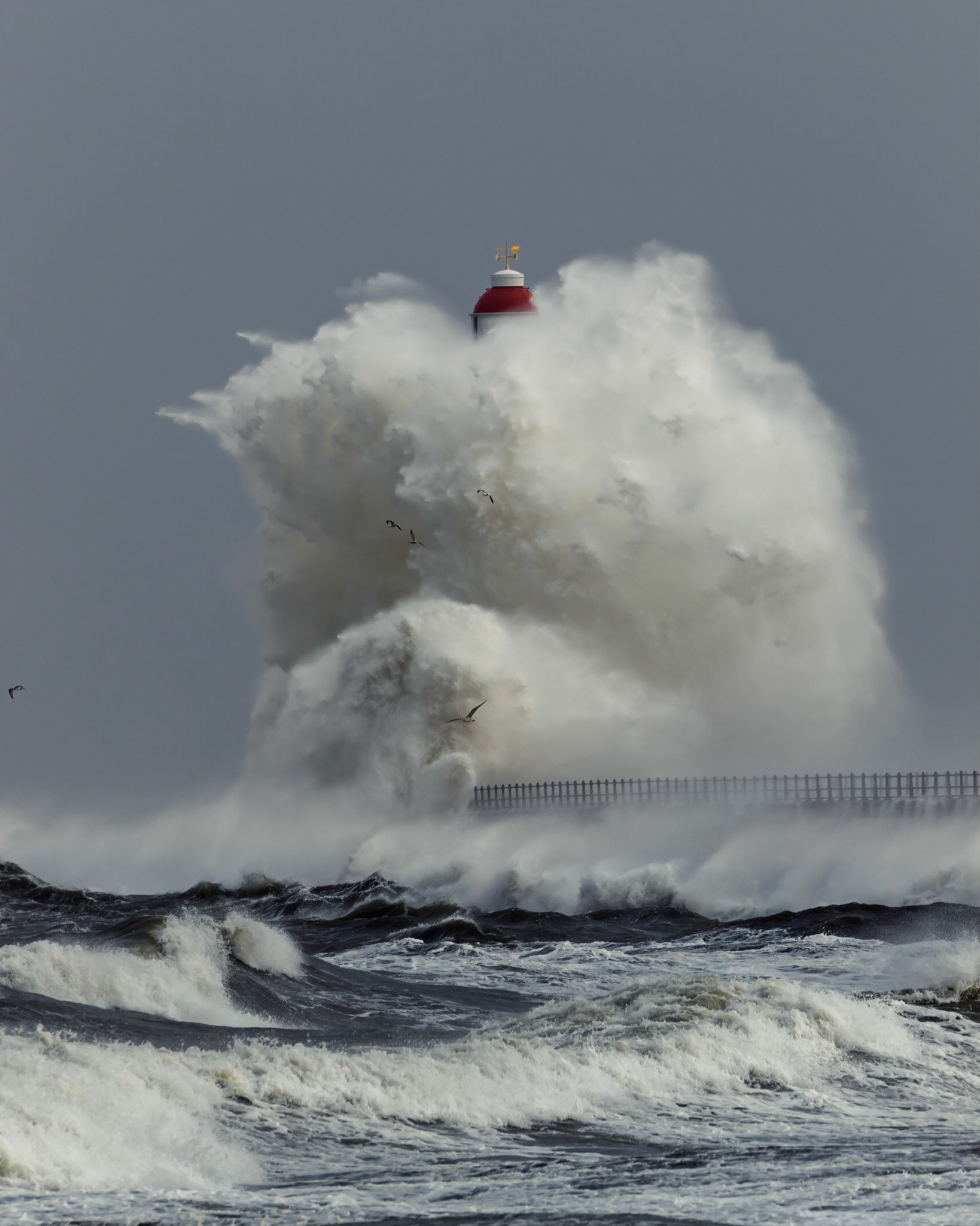 Ymir, Screamer, Rage