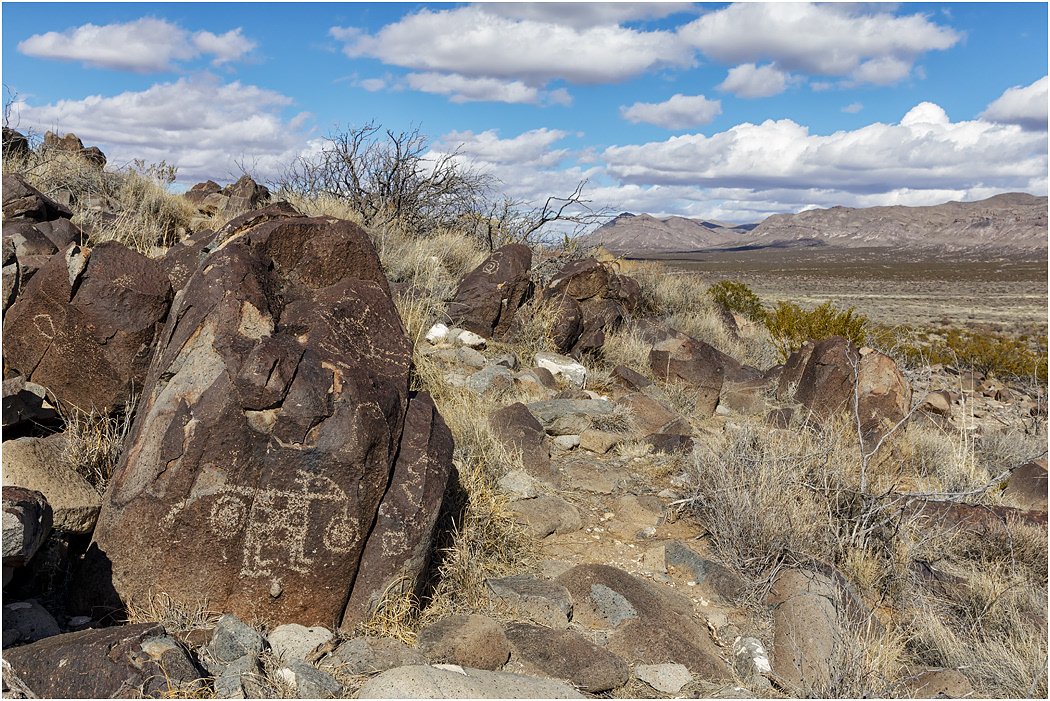 Petroglyphs, Three Rivers, NM