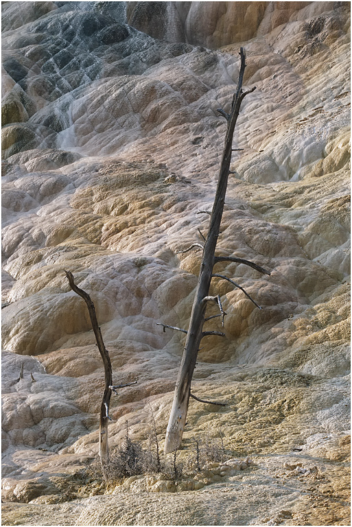 Lower Terrace, Mammoth, Yellowstone NP