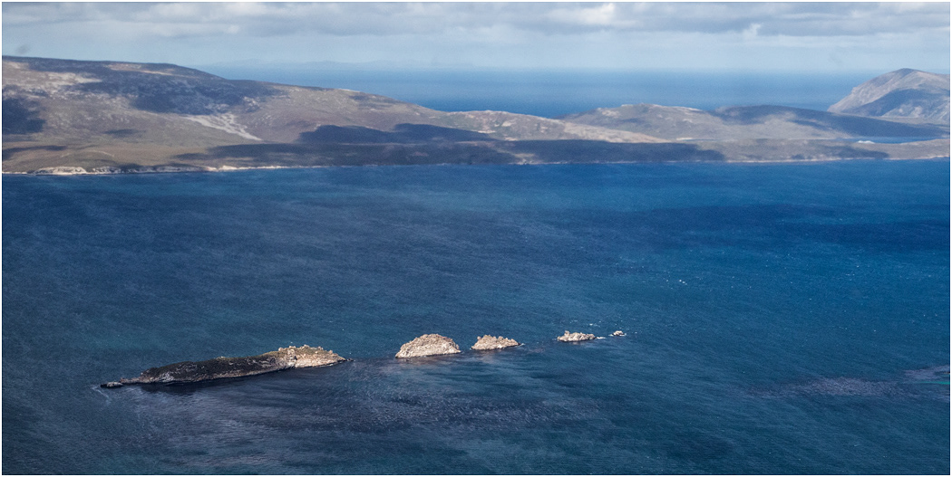 The Needles, Carcass Island