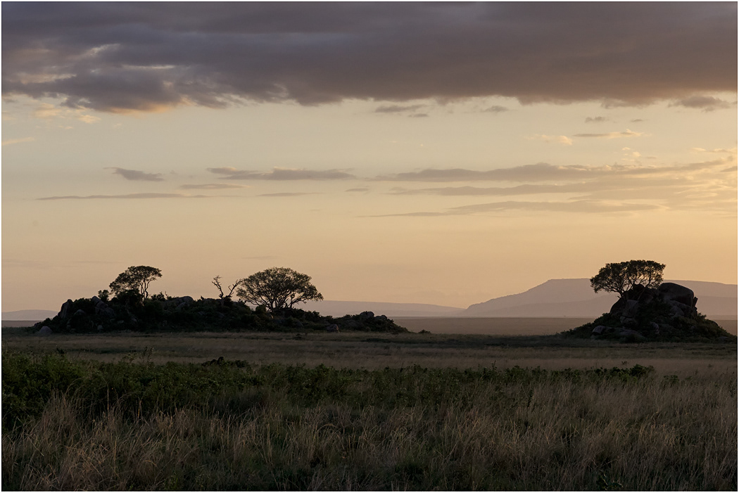 Dusk - Serengeti, Tanzania