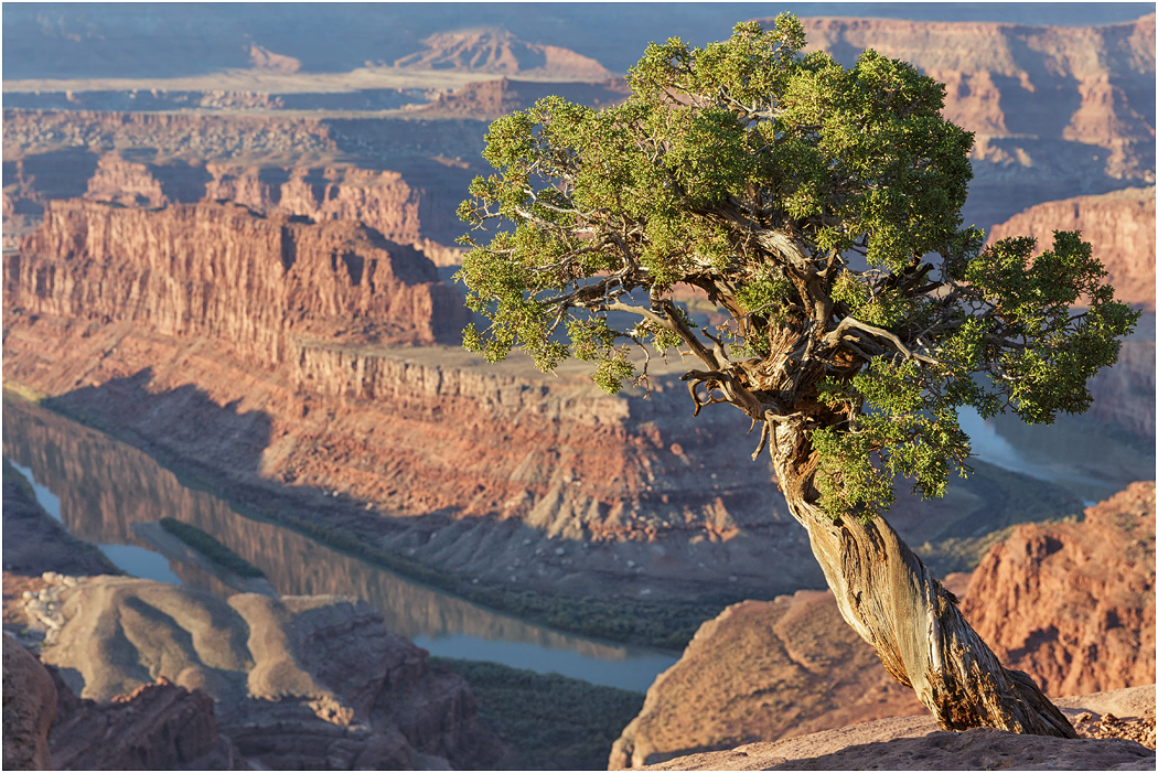 Meander Canyon, Dead Horse Point, near Moab, Utah