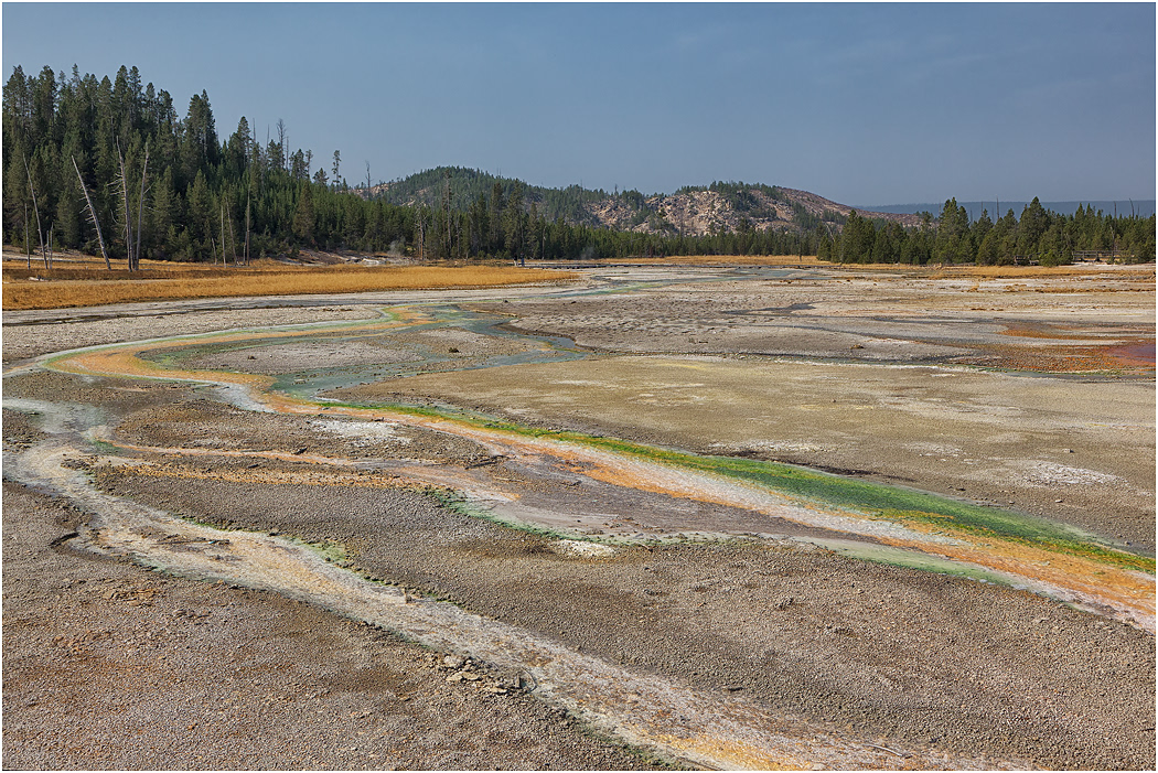 Thermophile Streams, Norris Basin, Yellowstone NP