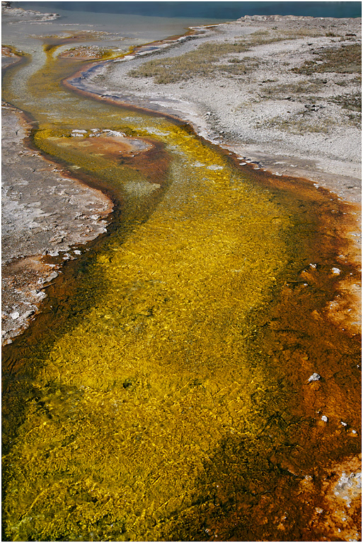 Wall Pool run-off, Biscuit Basin, Yellowstone