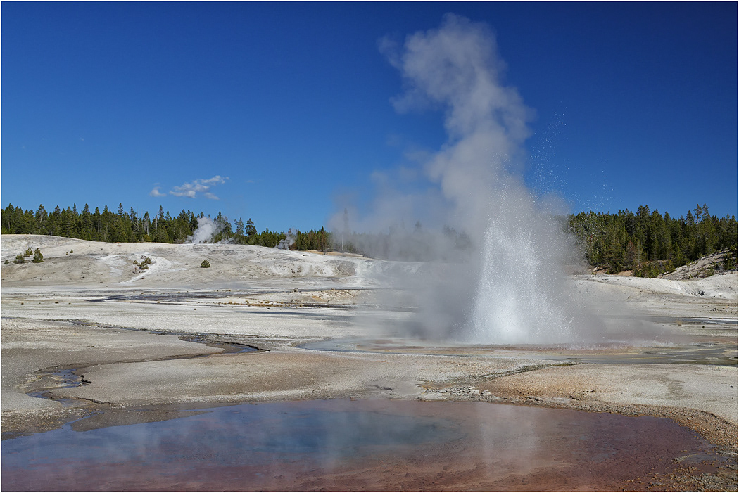 Whirligig Geyser, Norris Basin, Yellowstone NP
