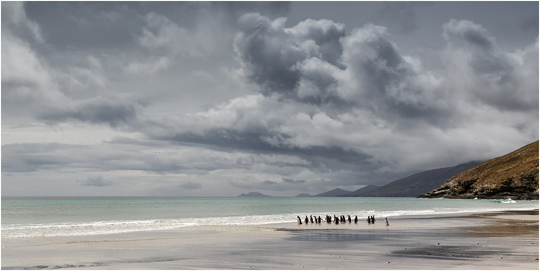 View East from The Neck, Saunders Island