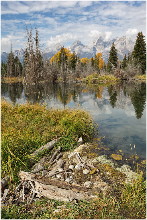 Autumn colour, The Tetons, Teton NP, USA
