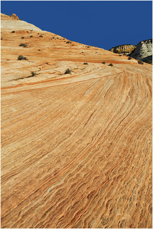 Cross-bedded Navajo Sandstone, near Zion, Utah