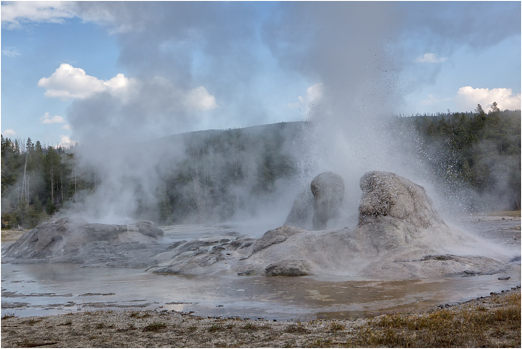 Grotto Geyser, Upper Geyser Basin, Yellowstone NP