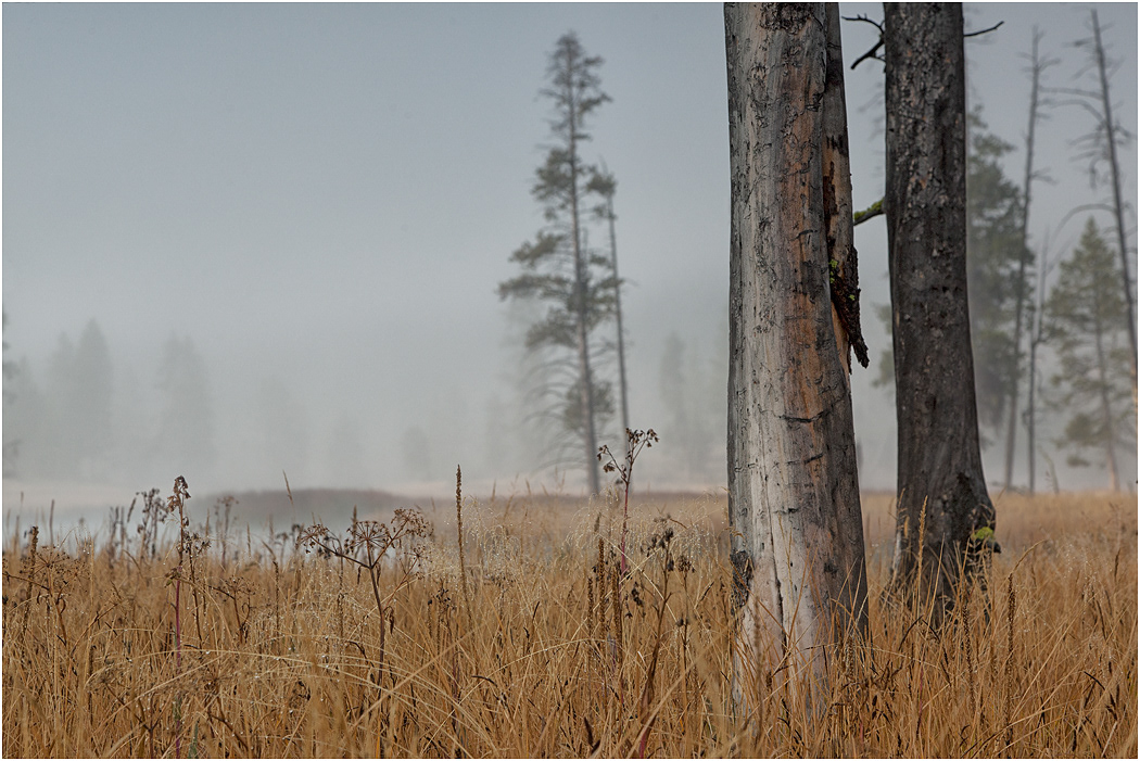 Mist above the Firehole River, Yellowstone NP