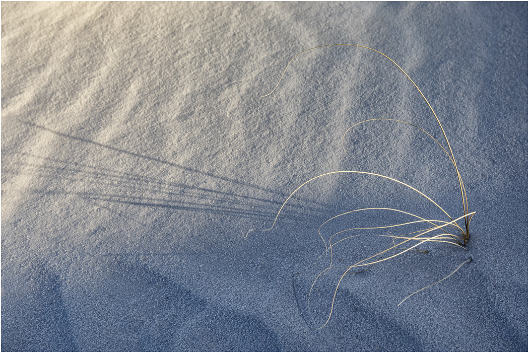 Light & Shade, White Sands, NM