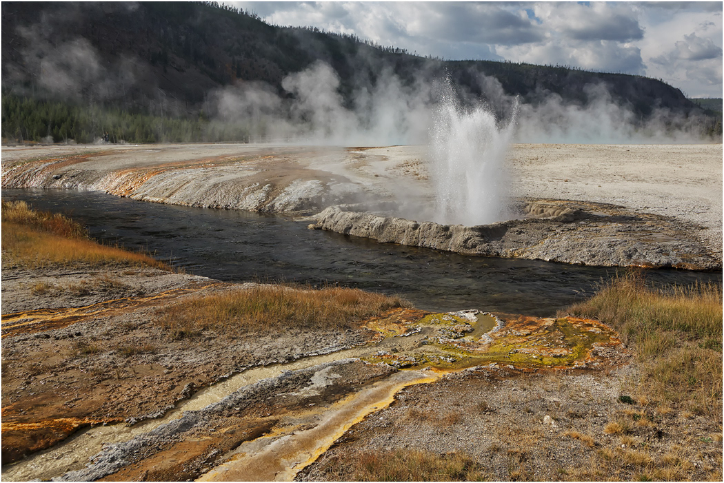 Cliff Geyser, Black Sand Basin, Yellowstone NP