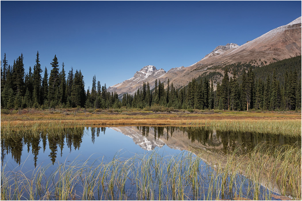 Glacial Pool, Icefields Parkway, Banff NP