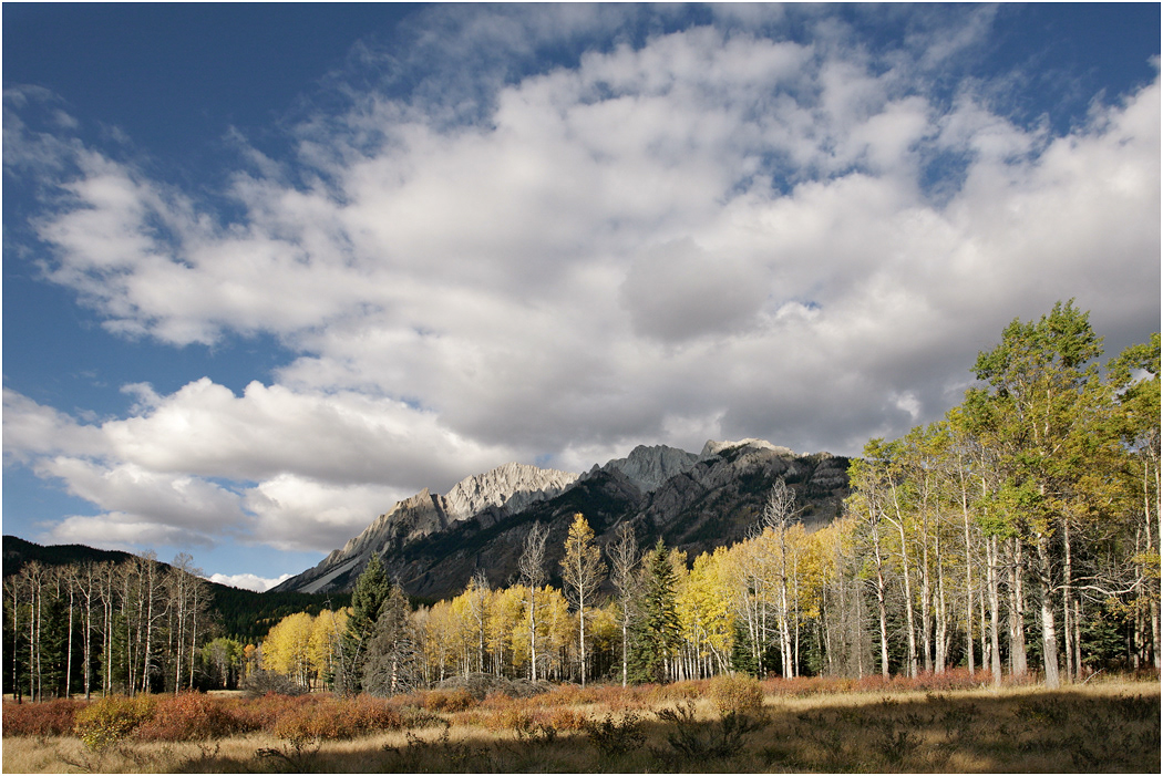 Hillsdale Meadows, Bow Valley Parkway, Banff NP