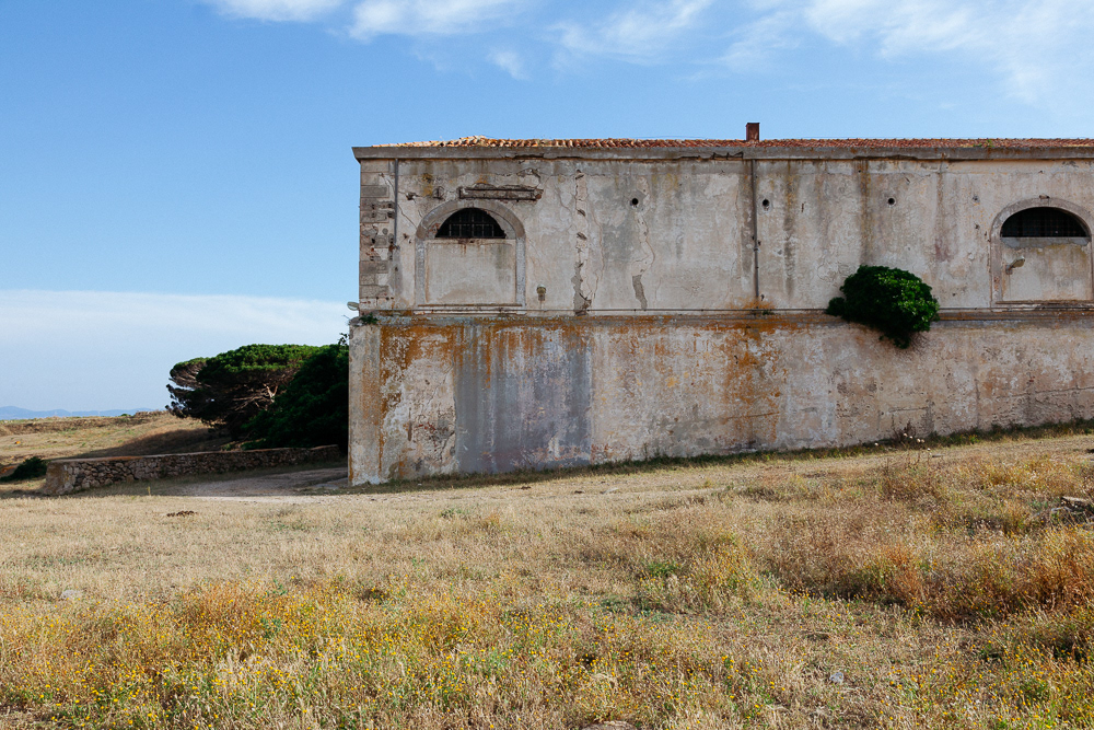 Isola dell'Asinara #13
