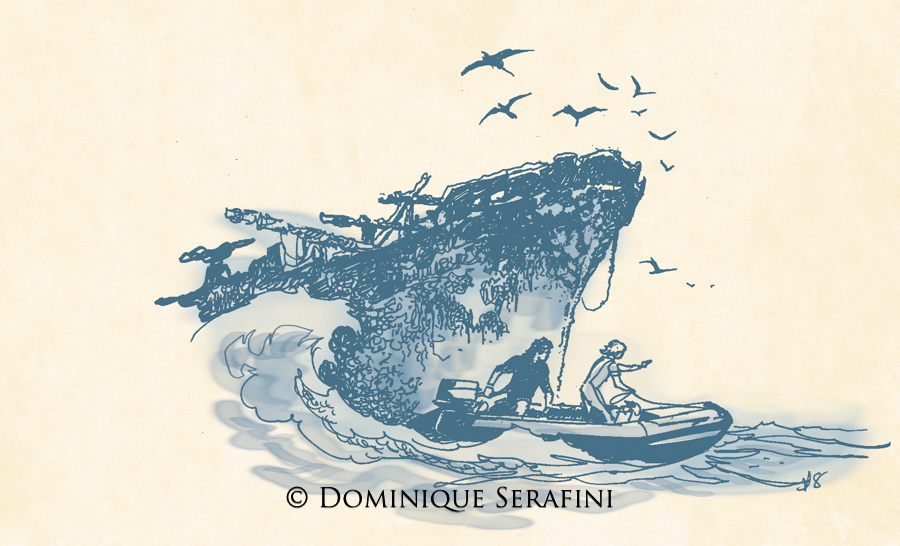 Shipwrecks of Las Aves