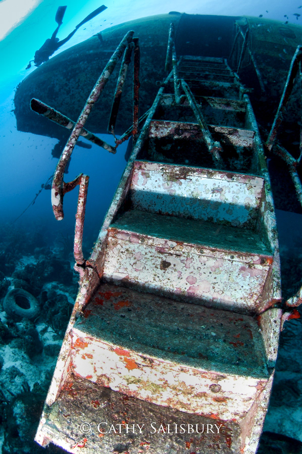 Plane Wreck, Aruba by Cathy Salisbury
