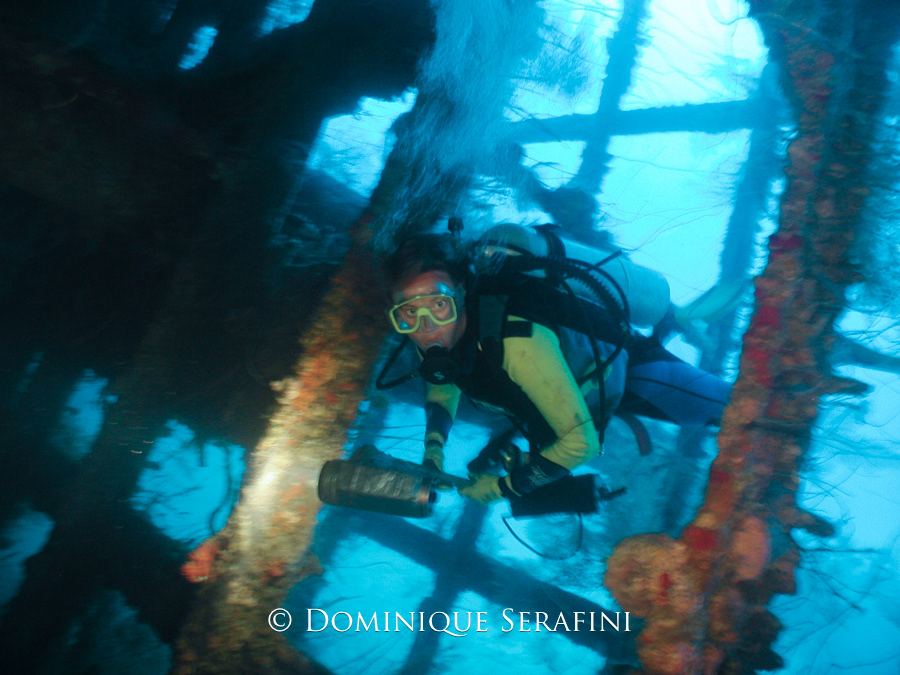 The Windjammer, Bonaire by Dominique Serafini