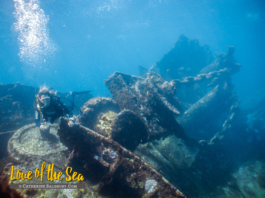 The SS Antilles, Mustique, The Grenadines by Dominique Serafini