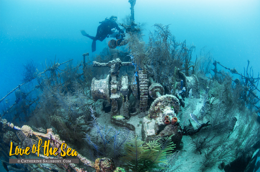 The Prince Albert shipwreck in Roatan, Honduras by Cathy Salisbury